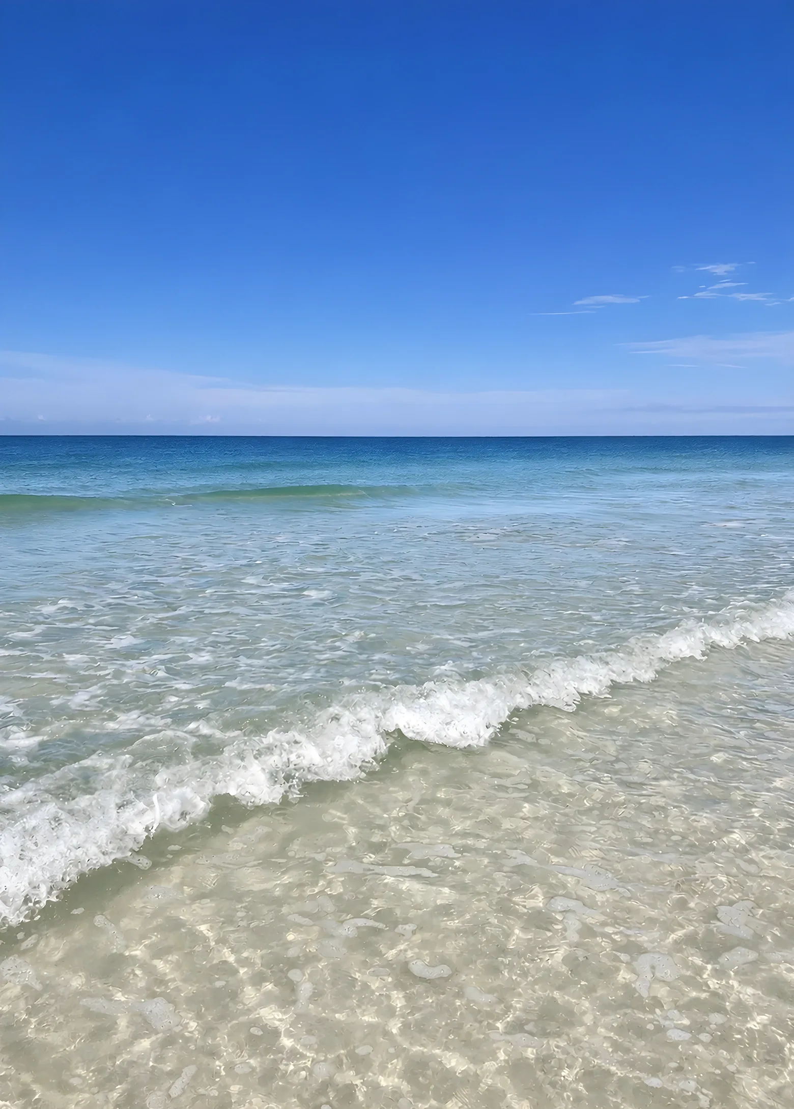 Handyman services in Sarasota and Siesta Key, Shore Fix It Handyman LLC